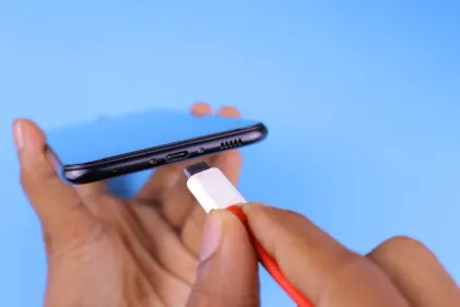 カジノ ドッグス フォーチュン モバイルアプリ